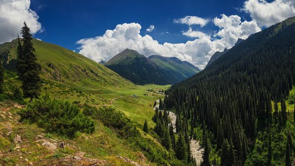 Ущелье Алтын-Арашан в Иссык-Кульской области. Архивное фото - Sputnik Кыргызстан