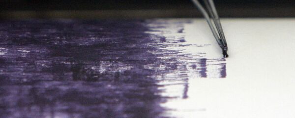 Случаи землетрясение в Кыргызстане - Sputnik Кыргызстан