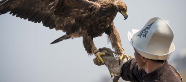 Охотник с беркутом в руках. Архивное фото Охотник с беркутом в руках. Архивное фото - Sputnik Кыргызстан