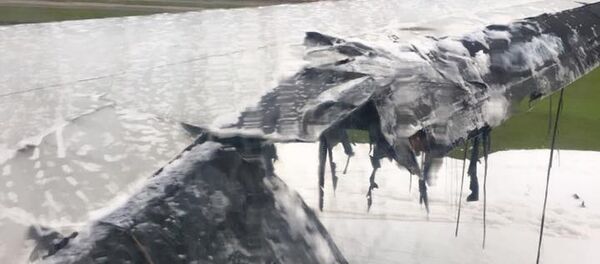 Последствия пожара самолета авиакомпании Singapore Airlines, который следовал рейсом из Сингапура в Милан (Италия) сингапурском аэропорту Чанги. - Sputnik Кыргызстан