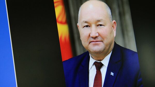 Снимок с официального сайта Правительства КР. Вице-премьер Кыргызстана Жениш Разаков. Архивное фото - Sputnik Кыргызстан