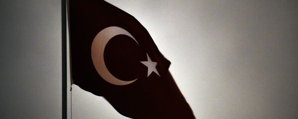 Түркиянын желеги. Архив - Sputnik Кыргызстан