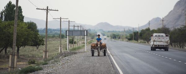 Кыңылдап ырдап, кыйла ишти бүтүрүп келе жаткан бала Кыңылдап ырдап, кыйла ишти бүтүрүп келе жаткан бала - Sputnik Кыргызстан