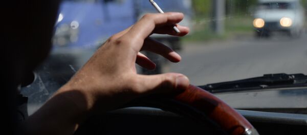 Айдоочу. Архив - Sputnik Кыргызстан