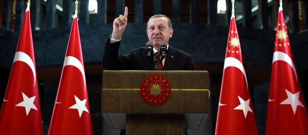 Президент Турции Тайип Эрдоган. Архивное фото - Sputnik Кыргызстан