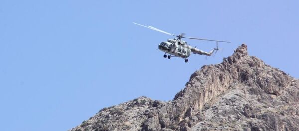 Тик учак. Архивдик сүрөт - Sputnik Кыргызстан