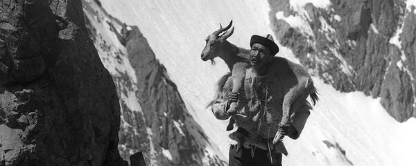 Ак илбирстин тукуму тасмасынан кадр. Архив - Sputnik Кыргызстан