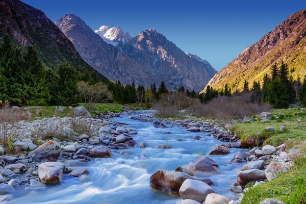Государственный природный парк Ала-Арча расположен на северном склоне Кыргызского хребта в 41-м километре от Бишкека. - Sputnik Кыргызстан