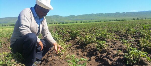 Ак-Суйский район Иссык-Кульской области, где три сельских управы пострадали от града. - Sputnik Кыргызстан