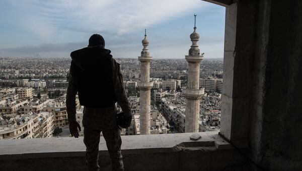 Военнослужащий Сирийской Арабской армии в городе Алеппо. Архивное фото - Sputnik Кыргызстан