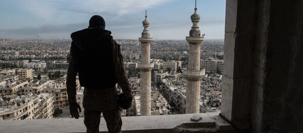 Алеппо шаары, Сирия. Архив - Sputnik Кыргызстан