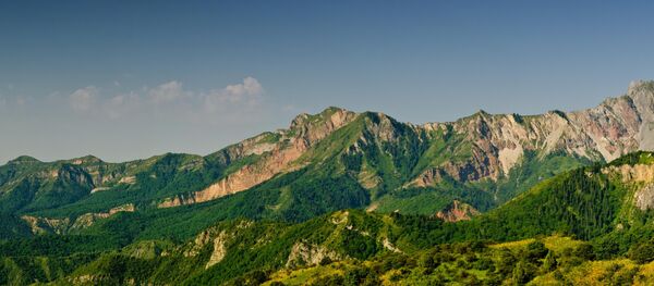 Тянь-Шань тоолору. Архив - Sputnik Кыргызстан