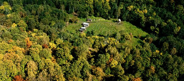 Токой. Архив - Sputnik Кыргызстан