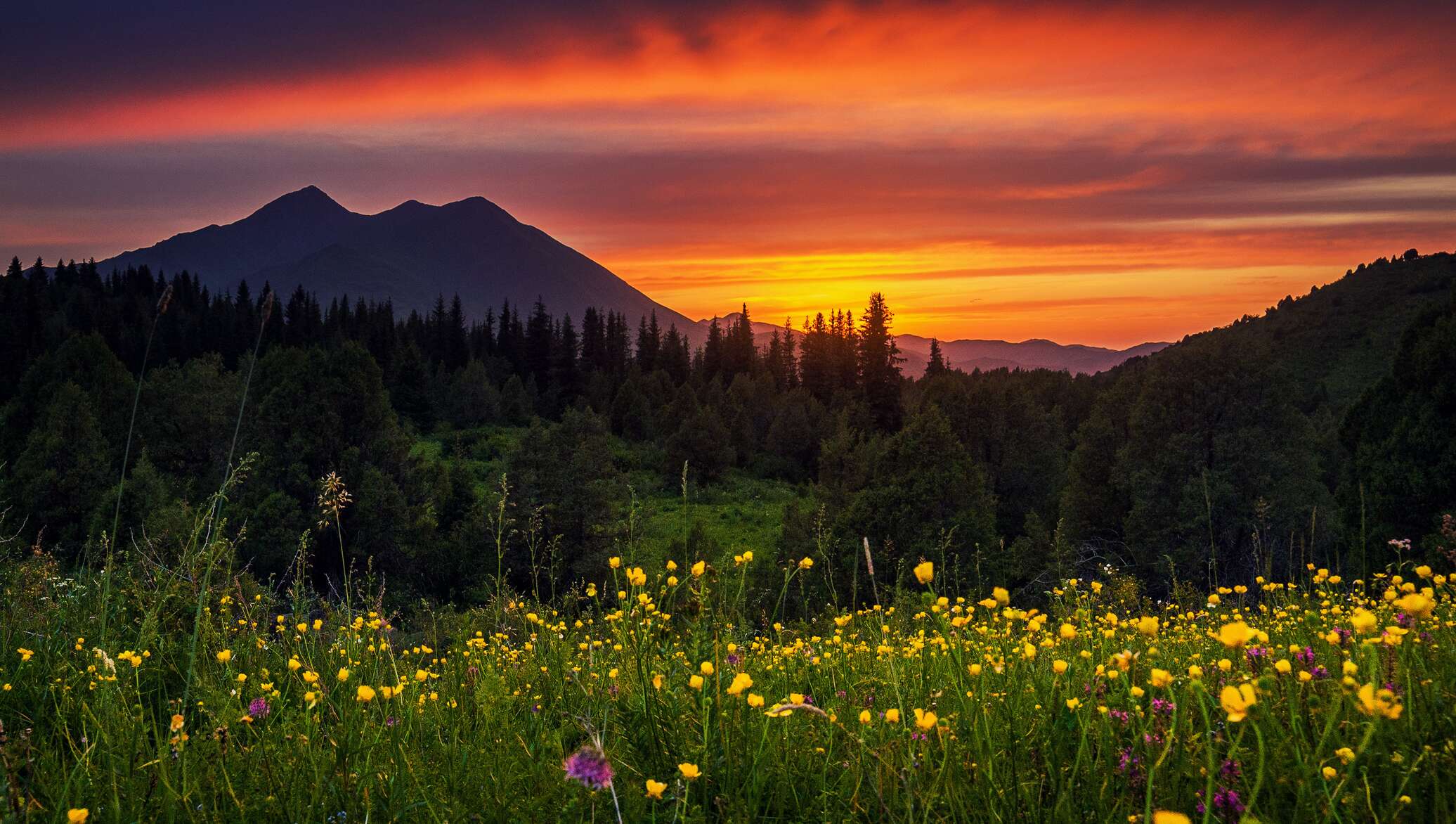 Evening in the mountains. Киргизия природа. Горы Кыргызстана закат. Пейзажи Киргизии. Кыргызстан закат природа.