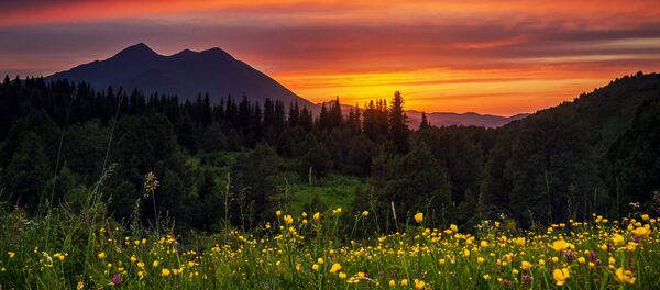 Шамси капчыгайы. Бул ажайып жер Чүй облусунда жайгашкан жана Кегети өрөөнүнө кирет - Sputnik Кыргызстан