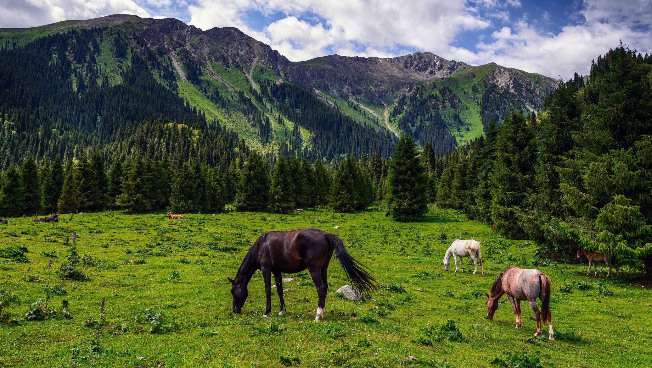 Кыргызстандын кооз жерлери фото