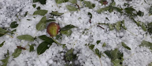 Последствия сильного града в городе Балыкчи - Sputnik Кыргызстан