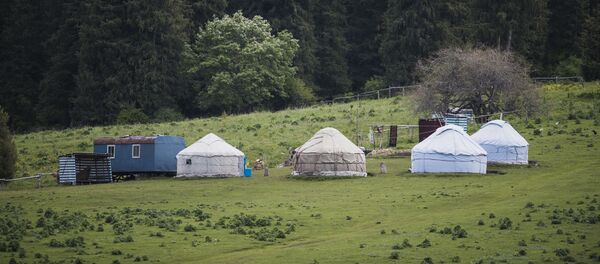 Жайлоодо тигилген боз үйлөр. Архив Жайлоодо тигилген боз үйлөр. Архив - Sputnik Кыргызстан