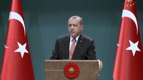 Эрдоган объяснил, для чего в стране вводится чрезвычайное положение - Sputnik Кыргызстан