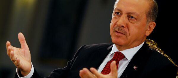 Түркиянын президенти Режеп Тайип Эрдогандын архивдик сүрөтү - Sputnik Кыргызстан