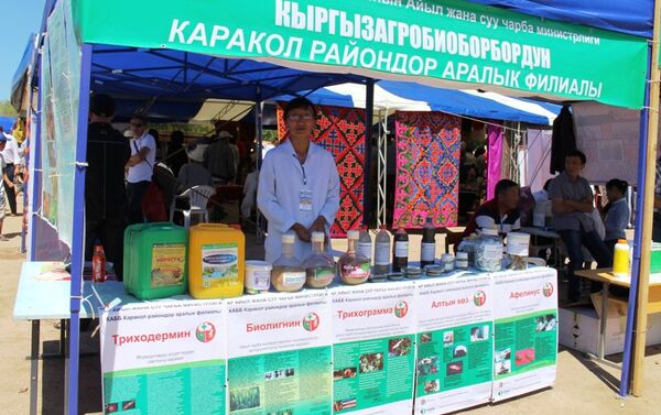 Свою продукцию на фестивале представили семь айыльных аймаков Джети-Огузского района, а также производители из Баткенской и Джалал-Абадской областей - Sputnik Кыргызстан