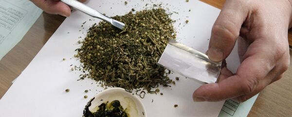 Специалист лаборатории по исследованию наркотических средств во время работы. Архивное фото - Sputnik Кыргызстан