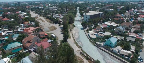 Вместо каких деревьев в Ботсаду могут построить дорогу — аэросъемка - Sputnik Кыргызстан