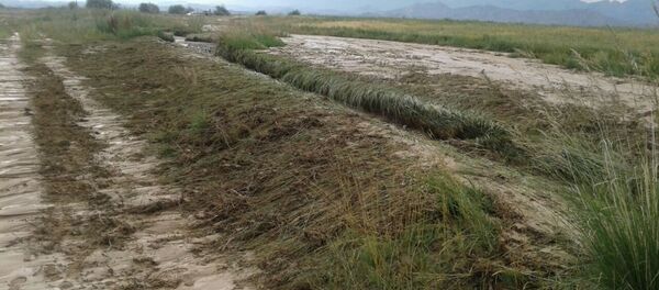 Сель в Ак-Талинский районе Нарынской области - Sputnik Кыргызстан