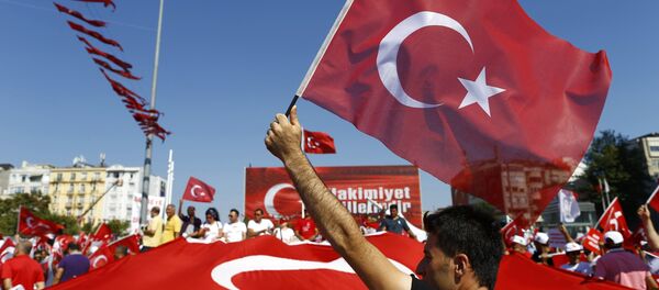 Түркиянын желегин кармаган адам. Архив - Sputnik Кыргызстан