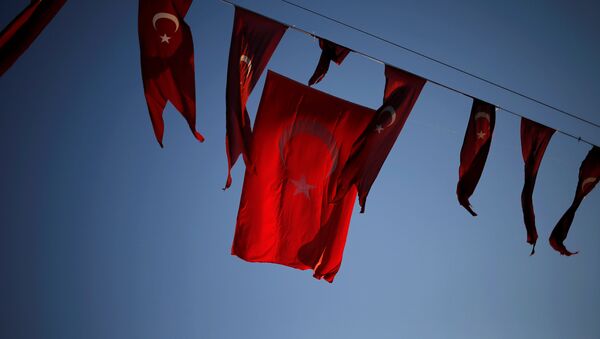 Проправительственной демонстрации в Стамбуле, Турция - Sputnik Кыргызстан