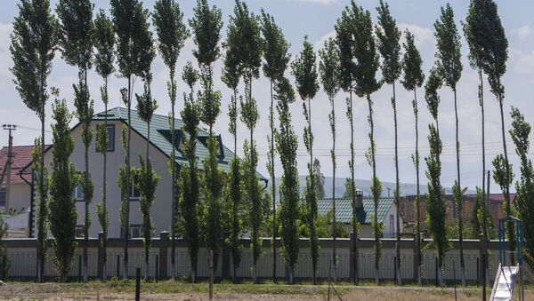 Деревья у частного дома в пригороде Бишкека. Архивное фото - Sputnik Кыргызстан