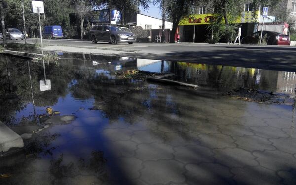 Тротуар по улице Льва Толстого затопило водой, вышедшей из арыков - Sputnik Кыргызстан