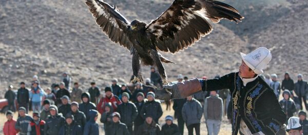 Беркутчи. Архивное фото Беркутчи. Архивное фото - Sputnik Кыргызстан