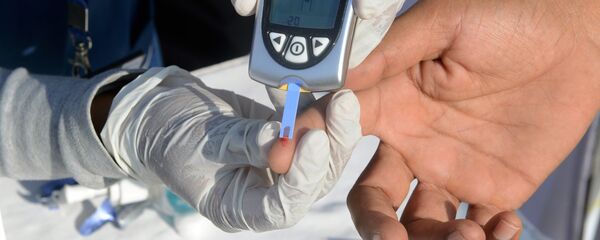 Анализге кан алып жаткан мед айым. Архив - Sputnik Кыргызстан