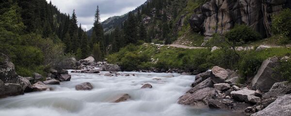 Дарыя. Архив - Sputnik Кыргызстан