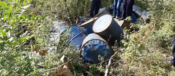 Ново-Павловка айылында батылган уулуу заттар салынган челектер - Sputnik Кыргызстан