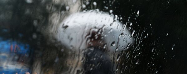 Жамгыр. Архив - Sputnik Кыргызстан