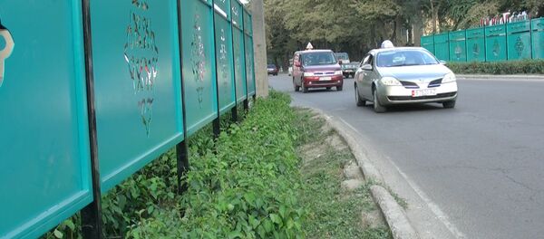 Фучик көчөсүндөгү жаңы дарбазалардын артында эмне бар? Фучик көчөсүндөгү жаңы дарбазалардын артында эмне бар? - Sputnik Кыргызстан