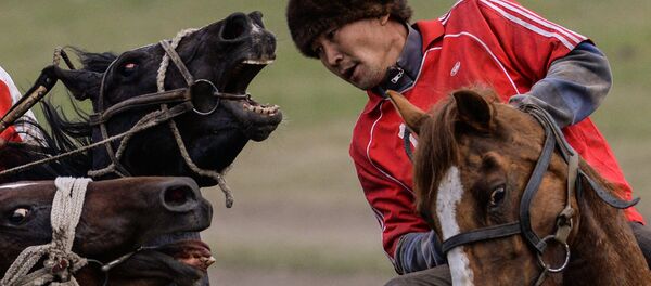 Участник соревнований по кок бору. Архивное фото Участник соревнований по кок бору. Архивное фото - Sputnik Кыргызстан