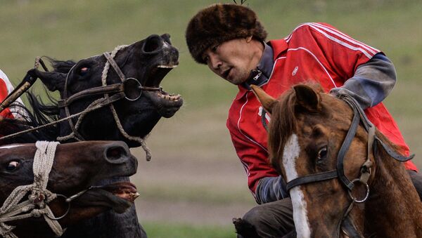 Участник соревнований по кок бору. Архивное фото - Sputnik Кыргызстан