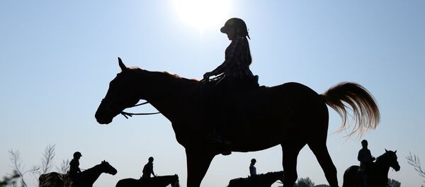 Чемпионат Новосибирской области по конкуру и выездке - Sputnik Кыргызстан