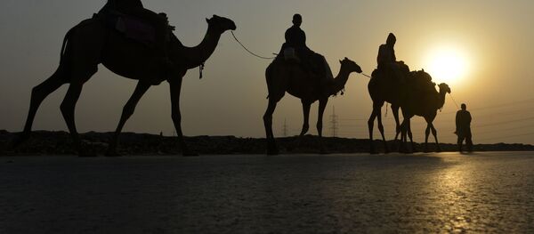 Кербен. Архив - Sputnik Кыргызстан