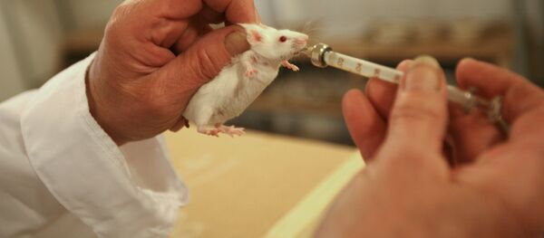 Испытания на мышах. Архивное фото - Sputnik Кыргызстан