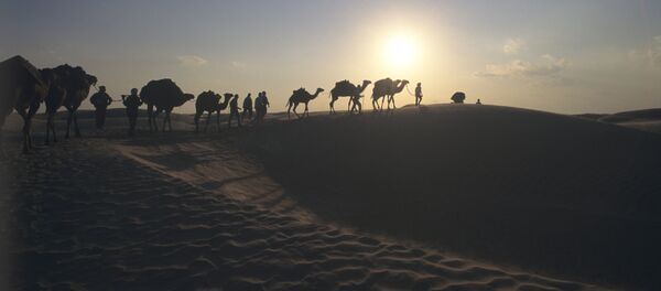 Сахара чөлү. Архив - Sputnik Кыргызстан