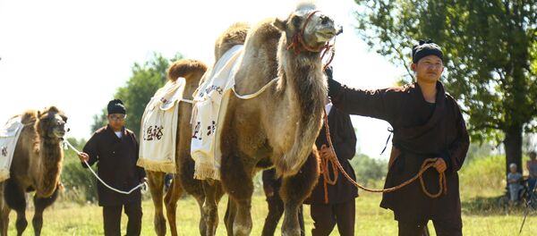 Караван с верблюдами и лошадьми, вышедший из Пекина в Бишкеке - Sputnik Кыргызстан