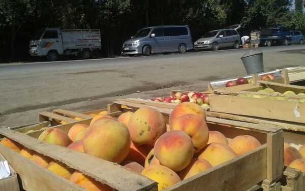 На обочине продают местные персики, урюк, виноград, помидоры и другие виды фруктов и овощей - Sputnik Кыргызстан