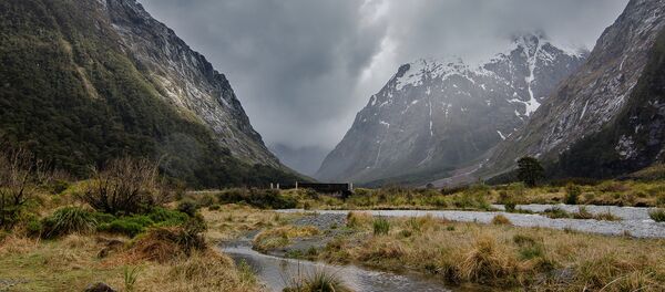 Жаңы Зеландиядагы тоолор. Архив Жаңы Зеландиядагы тоолор. Архив - Sputnik Кыргызстан