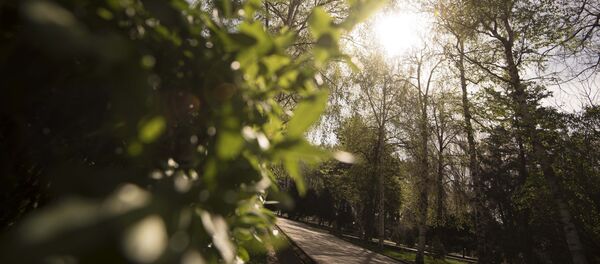 Как и где провести выходные в столице. Афиша с 26 по 28 августа - Sputnik Кыргызстан