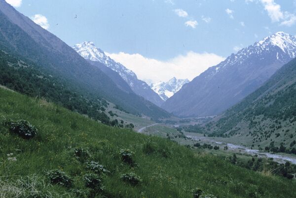 Улуттук парк Кыргыз тоо кыркаларынын түндүк тарабында, Бишкектен түштүктү карай 41 чакырым алыстыкта деңиз деңгээлинен 1600-4800 метр бийиктикте жайгашкан. Парктын аянты — 22 чарчы чакырымдан ашат - Sputnik Кыргызстан
