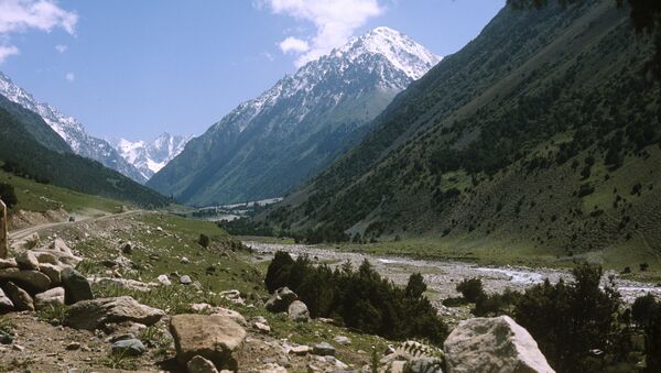 Ущелье Але-Арча. Архивное фото - Sputnik Кыргызстан